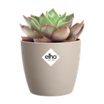 brussels round mini 12,5cm mushroom beige (1)